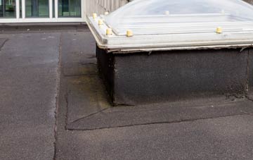 disadvantages of Newton Of Ardtoe flat roofs