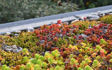 the cost of Newton Of Ardtoe green roof installation