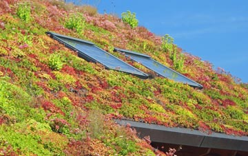 Newton Of Ardtoe living roof systems
