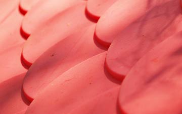 Newton Of Ardtoe plastic roof costs