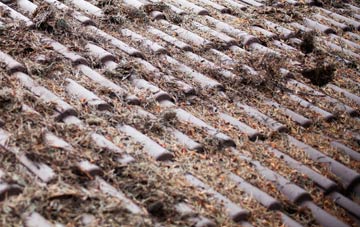 Newton Of Ardtoe roof cleaning companies