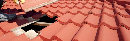 compare Newton Of Ardtoe roof repair quotes