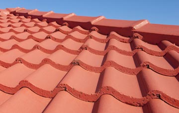 Newton Of Ardtoe tile and slate roof replacement