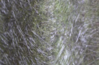 Newton Of Ardtoe fibreglass roof work