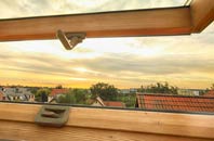 rated Newton Of Ardtoe roof window companies